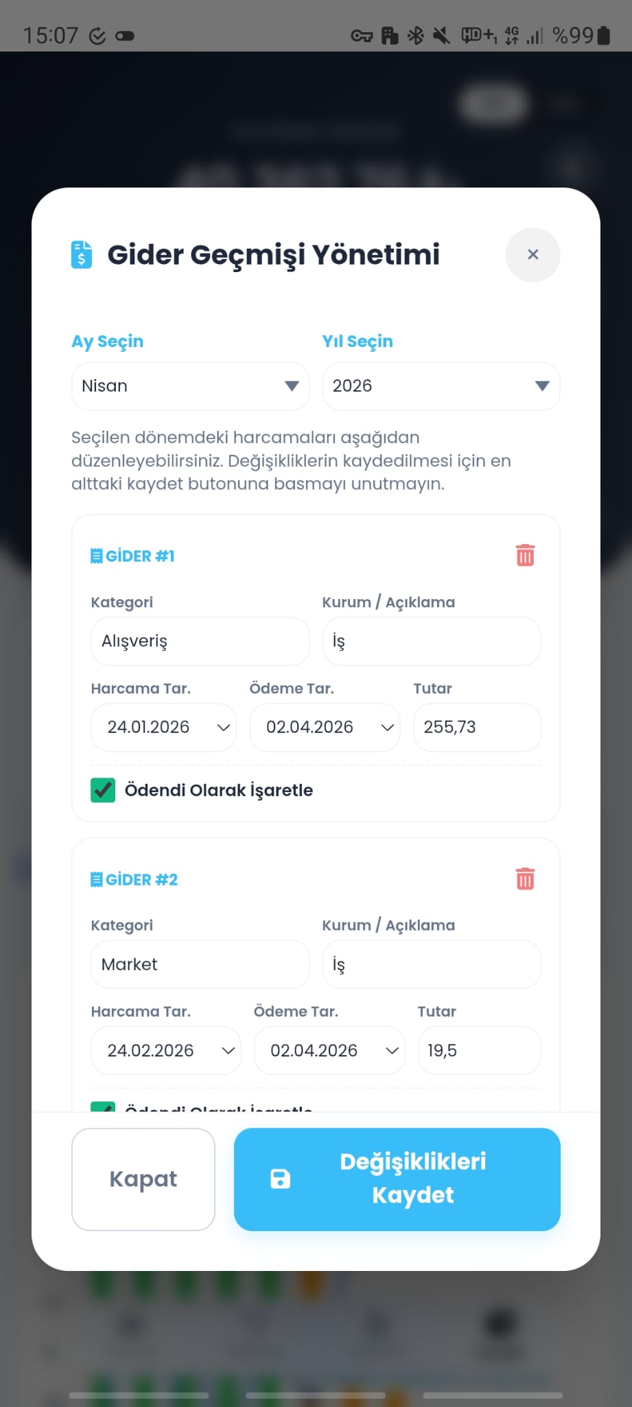 Analiz Sayfası - Geçmiş Gider Yönetimi