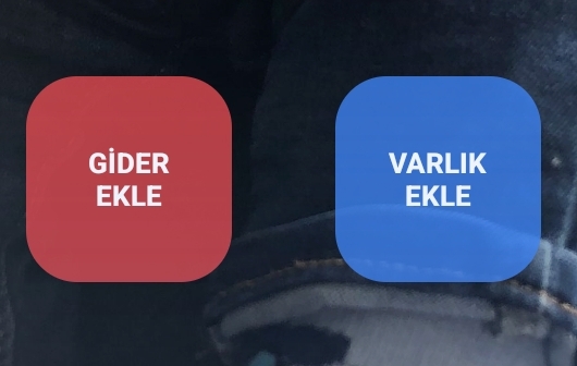 Gider ve Varlık Widget