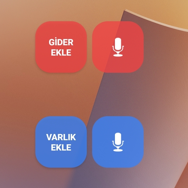 Sesli Widget