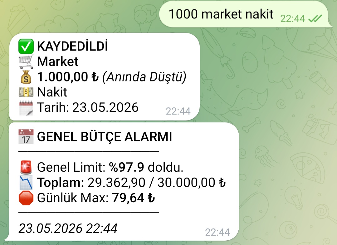 Telegram Harcama Gideri - Nakit