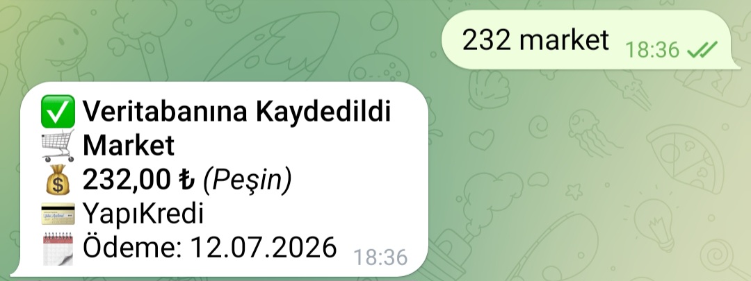 Telegram Harcama Gideri