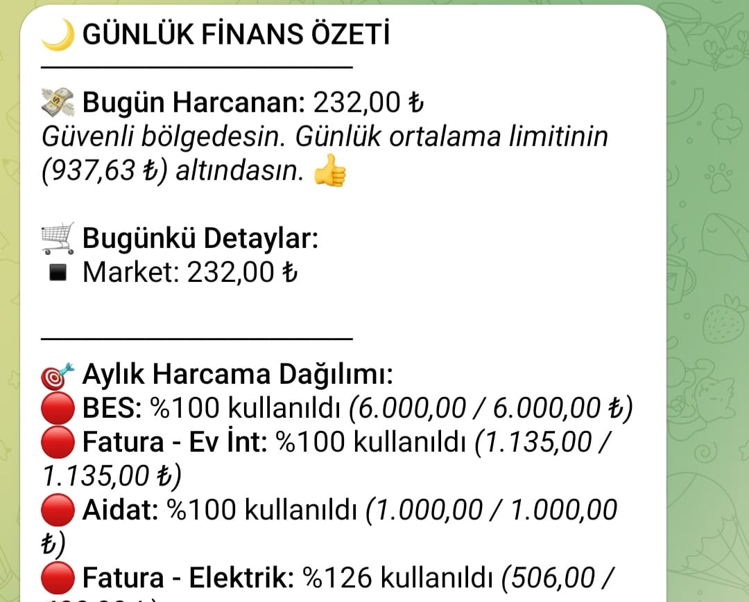 Telegram Günlük Harcama Özeti Tablosu